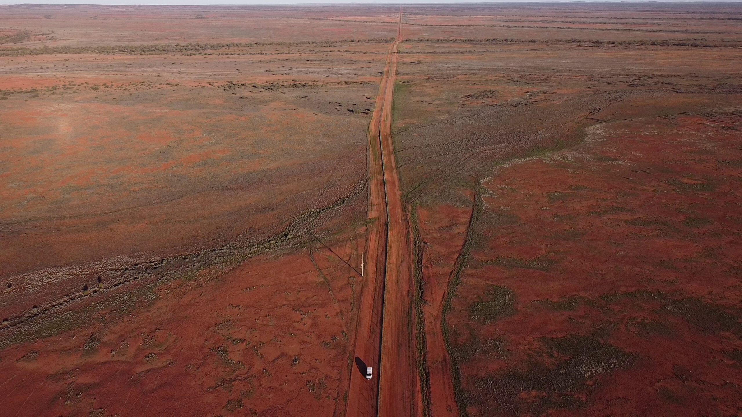 The Dingo Fence