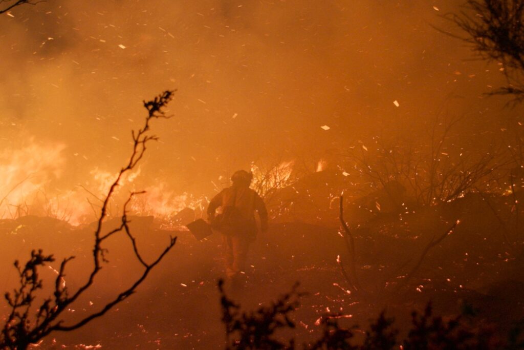 PSFF reveals a diverse collection of competition films!