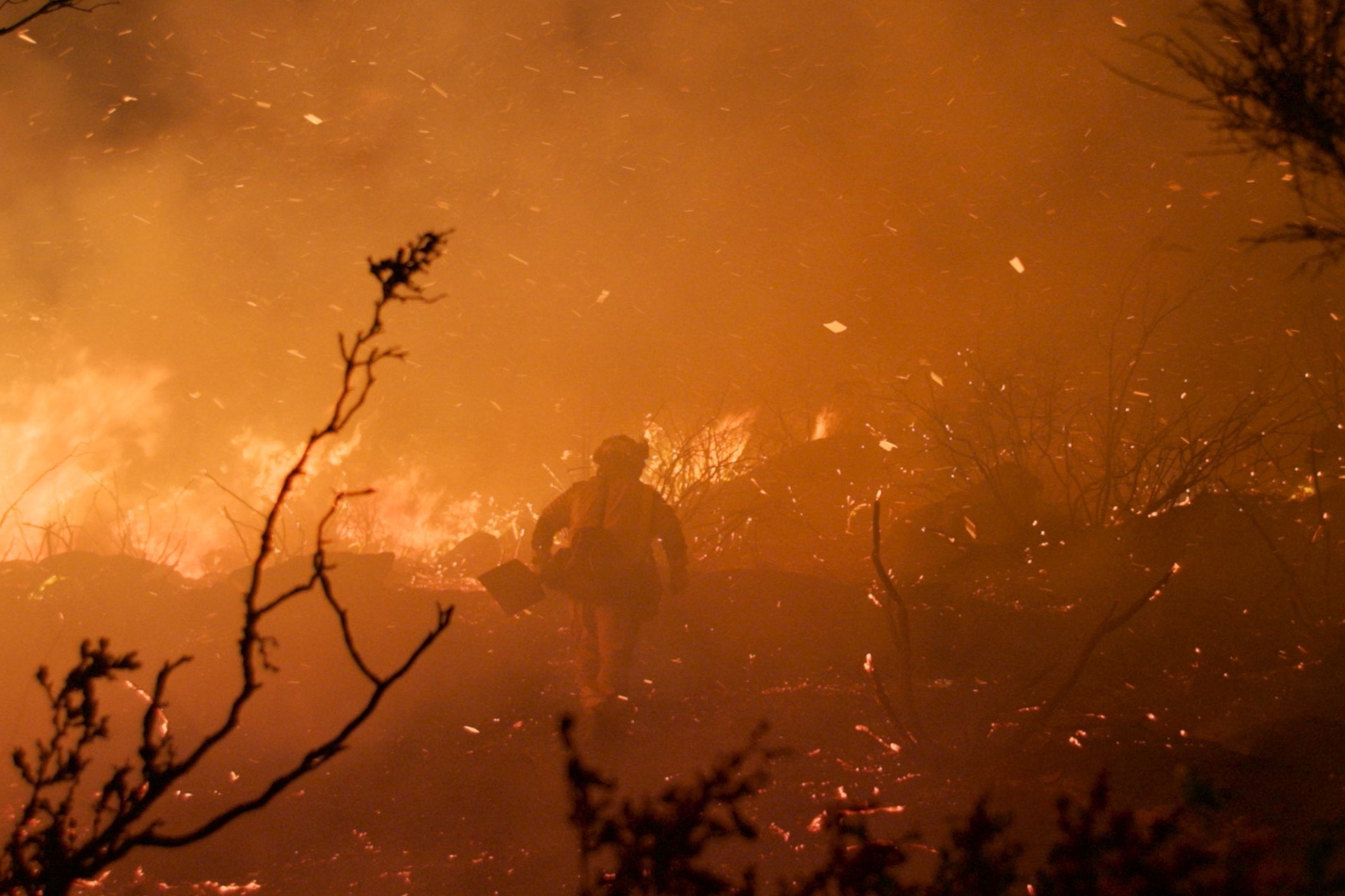 PSFF reveals a diverse collection of competition films!