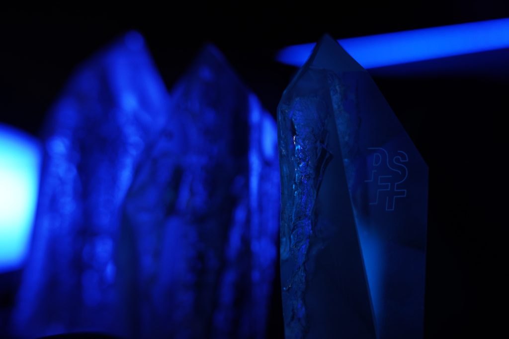 PSFF zná své vítěze!