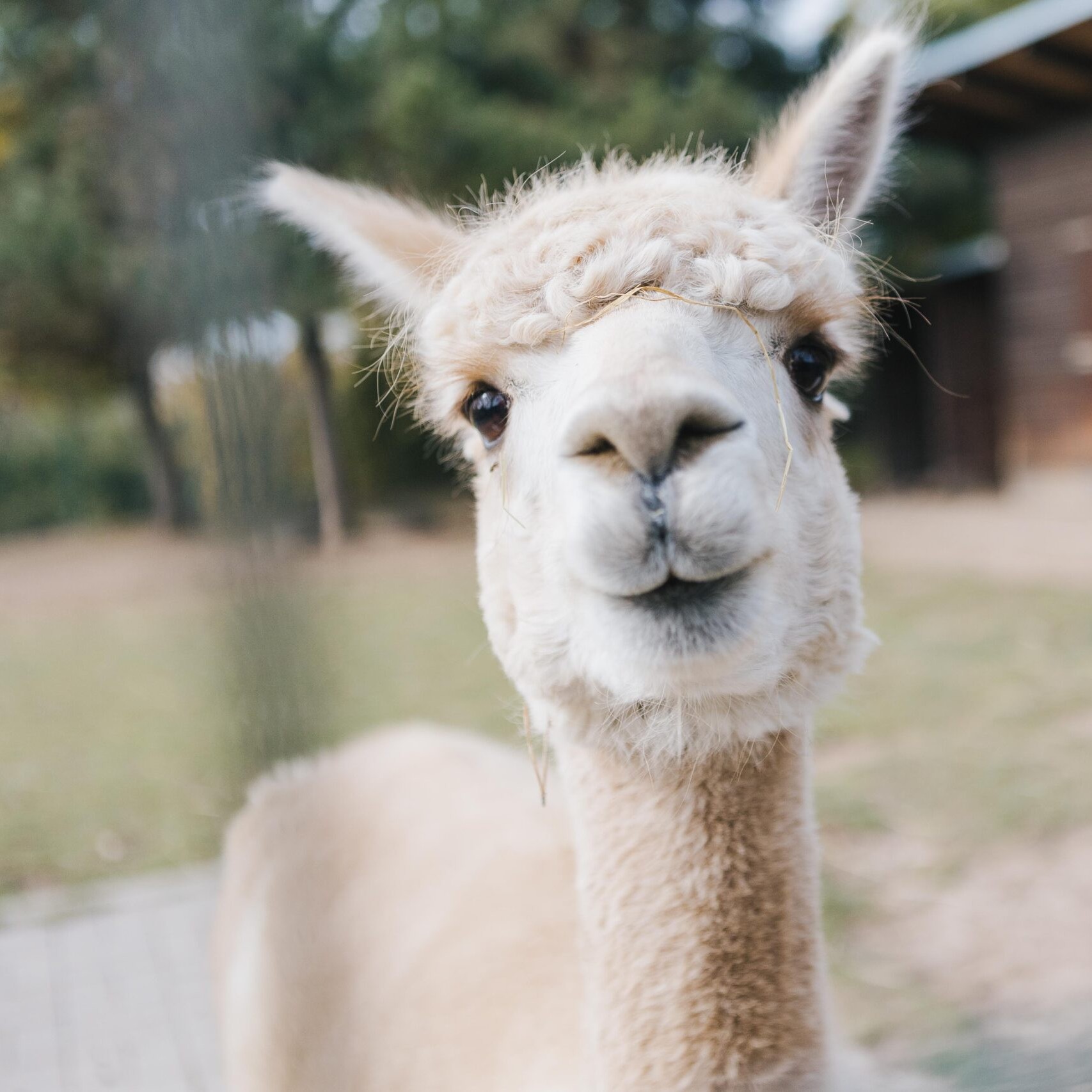 E40A9594_fotilAdamMracek-1-scaled